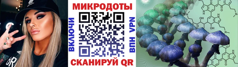 Галлюциногенные грибы Magic Shrooms  купить  сайты  Пыталово 
